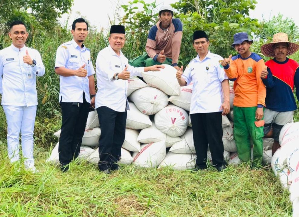 Dinas Ketahanan Pangan dan Pertanian (DKPP) Kabupaten Tanah Bumbu (Tanbu) melakukan pemantauan terhadap proses panen padi di Kelurahan Gunung Tinggi, Kecamatan Batulicin